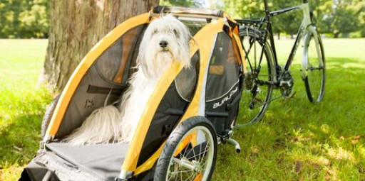 “Tail Wagon” reboque de bicicleta para cachorros