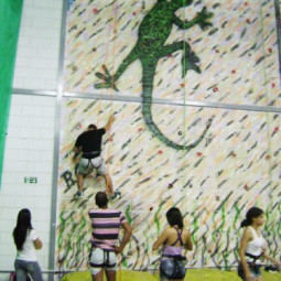 Montes Claros – MG monta estrutura de escalada indoor em academia