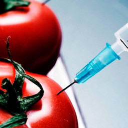 Aditivos Alimentares – Você sabe o que realmente está consumindo ao comer um produto industrializado?