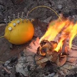 Como fazer fogo utilizando um limão