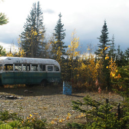 Trekking na “Stampede Trail”: A trilha que leva ao ônibus de “Na Natureza Selvagem”