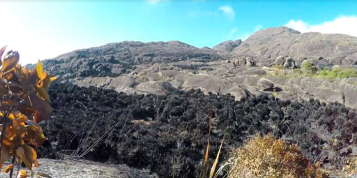Trekkeiro divulga vídeo desolador de como ficou o Pico dos Marins após incêndio