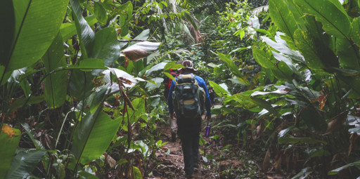 Trilha Chico Mendes: O trekking de 90 km em reserva extrativista do Acre