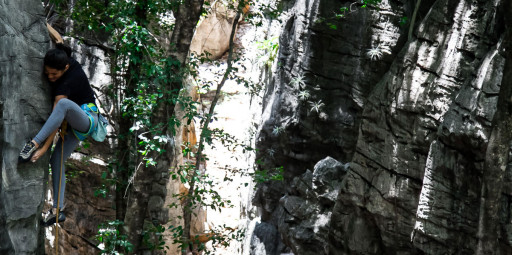 Guia essencial de São Desidério-BA: O paraíso perdido no Brasil de escalada em calcário