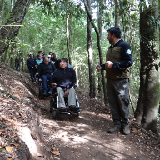 Chile inaugura primeira trilha para pessoas com deficiência física e visual
