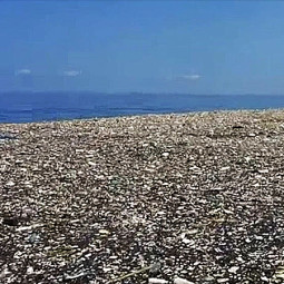 Tamanho da ilha de lixo plástico do Pacífico já equivale a área total de Alemanha, Espanha e França