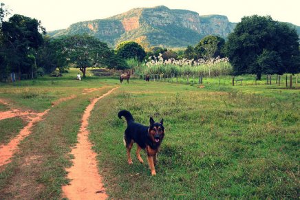 Sim, existe escalada no Mato Grosso do Sul