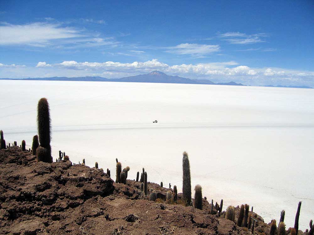Isla_de_Pescado_Bolivia_Salar_de_Uyuni[1]