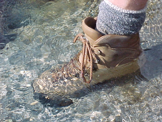 046_These_boots_were_made_for_swimming[1]