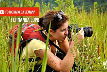 Fotógrafo da semana: Fernanda Lupo