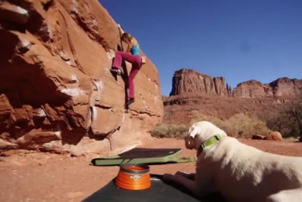 Marca de equipamentos outdoor para animais faz homenagem para incentivar atividades com cães