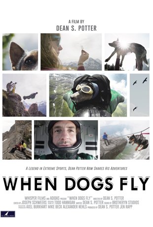 when-dogs-fly