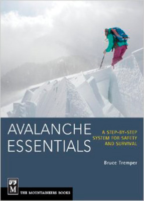 avalanche-essentials-1