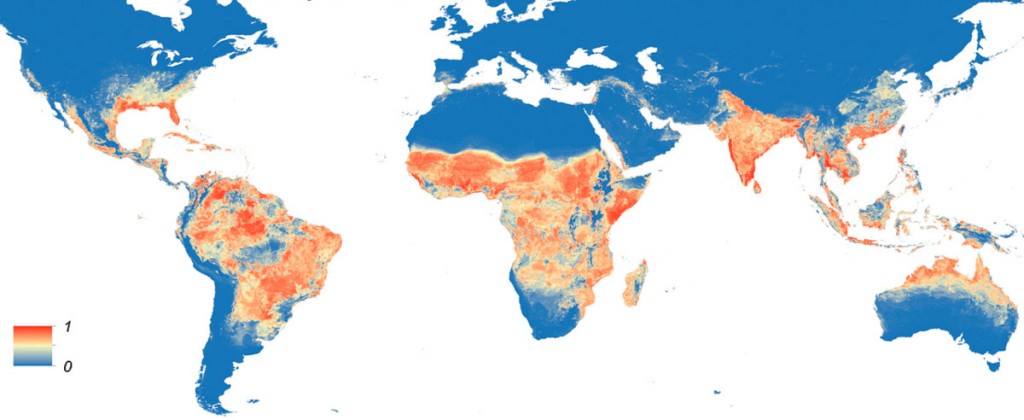 Mapa da distribuição do Aedes aegypti ao redor do mundo (em tons vermelhos) | Foto: http://www.wikiwand.com/pt/V%C3%ADrus_Zika