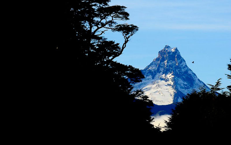 Mount (Omoount - hoje eu descobri que o bicho que eu mais tenho medo é a  toupeira nariz de estrela imagina ce ta andando suave e ve esse RATO  GIGANTESCO dai ele