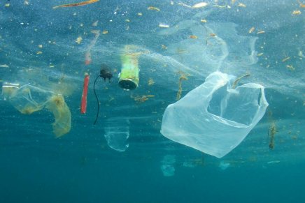Estudo revela que pandemia gerou mais de 25.000 toneladas de resíduos plásticos do oceano