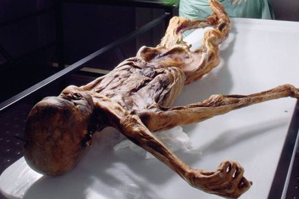 Ötzi: A múmia que conta um pouco da história dos Alpes